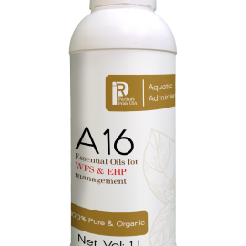 A16 (Tinh dầu thảo dược giúp khống chế ngay từ ban đầu bào tử EHP, ký sinh trùng Gregarine và vi khuẩn vibrio gây bệnh phân trắng, gan tụy cho tôm)