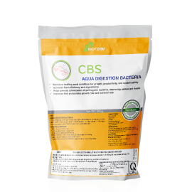 CBS (VI SINH ĐƯỜNG RUỘT TÔM PHÒNG & HỖ TRỢ ĐIỀU TRỊ BỆNH PHÂN TRẮNG, TRỐNG ĐƯỜNG RUỘT)